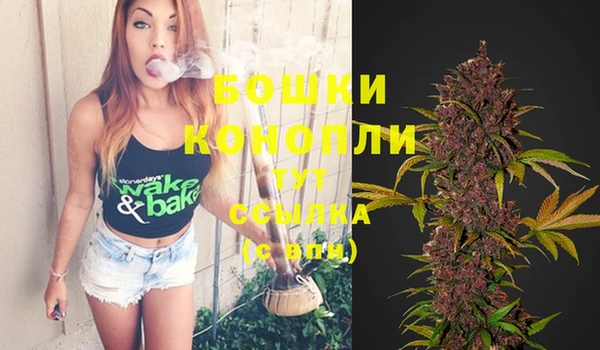 прущий лед Бутурлиновка