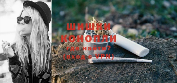 шишки Болохово