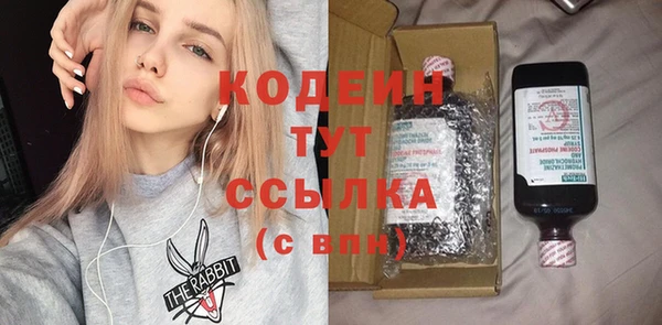 шишки Болохово