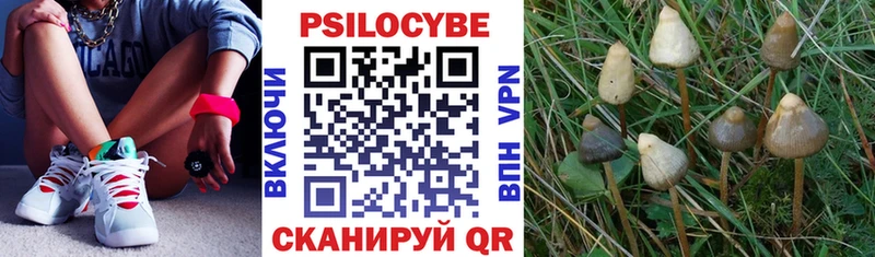 ссылка на мегу маркетплейс  Когалым  Галлюциногенные грибы Cubensis 