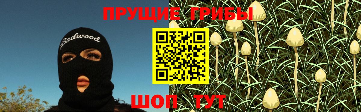 Галлюциногенные грибы GOLDEN TEACHER  Вход с VPN  Галлюциногенные грибы Psilocybe  Когалым 