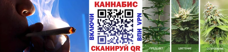 Бошки марихуана гибрид  Когалым 